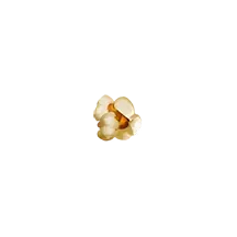Símbolo de palomitas de Pirots X